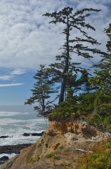 coastal trail